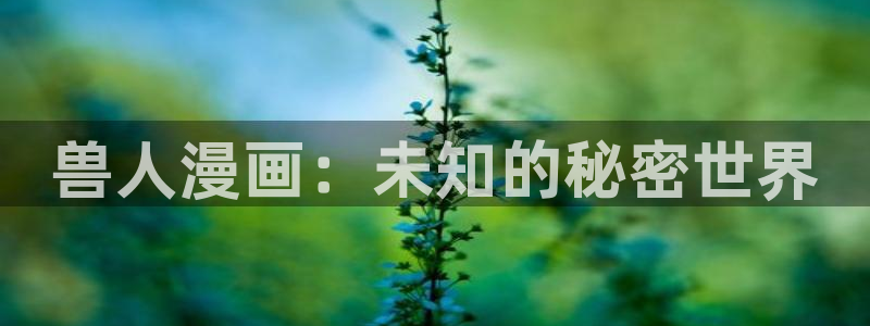女神漫画官网正版