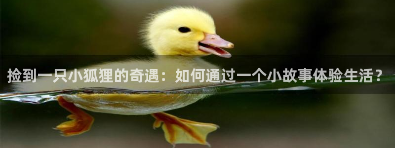 女神漫画网在线观看