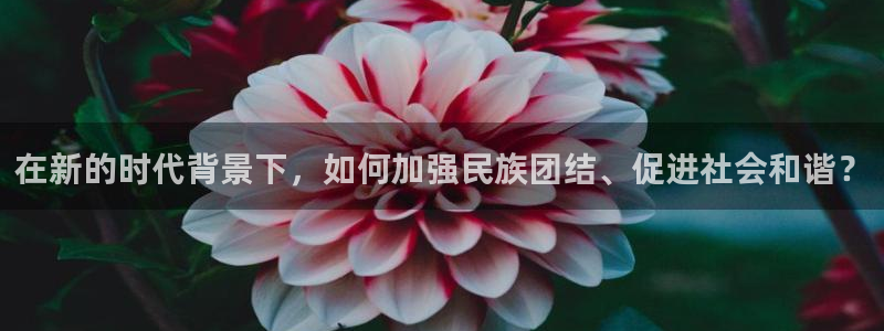 女神漫画免费观看下拉式