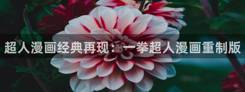女神漫画免费大全