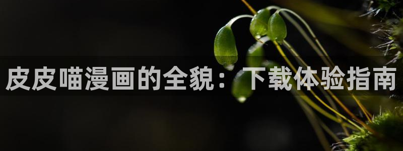 女神漫画在哪看